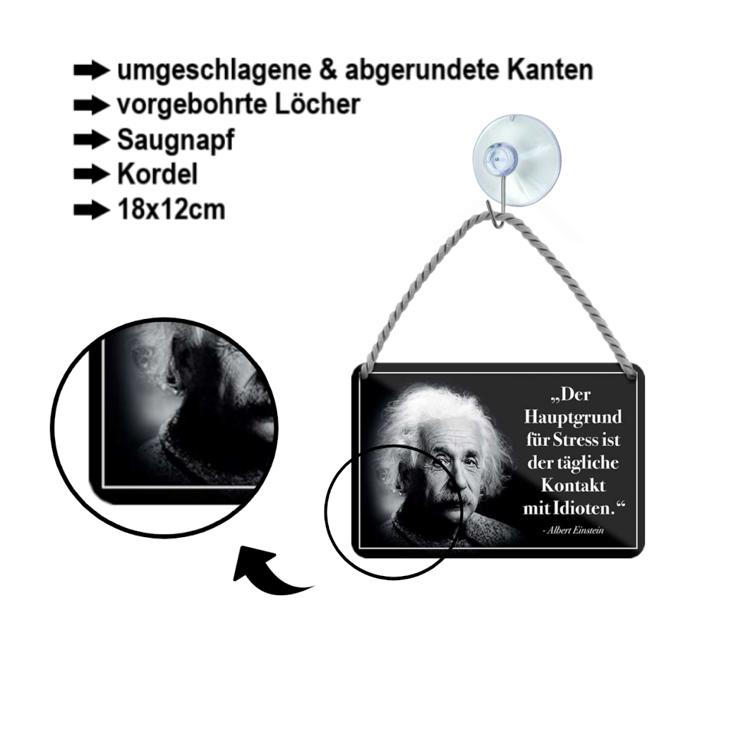 Blechschild ''Der Hauptgrund für Stress ist der.. (Einstein)'' 18x12cm