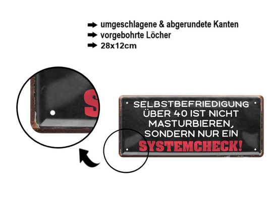 Blechschild ''Selbstbefriedigung über 40 Systemcheck'' 28x12cm