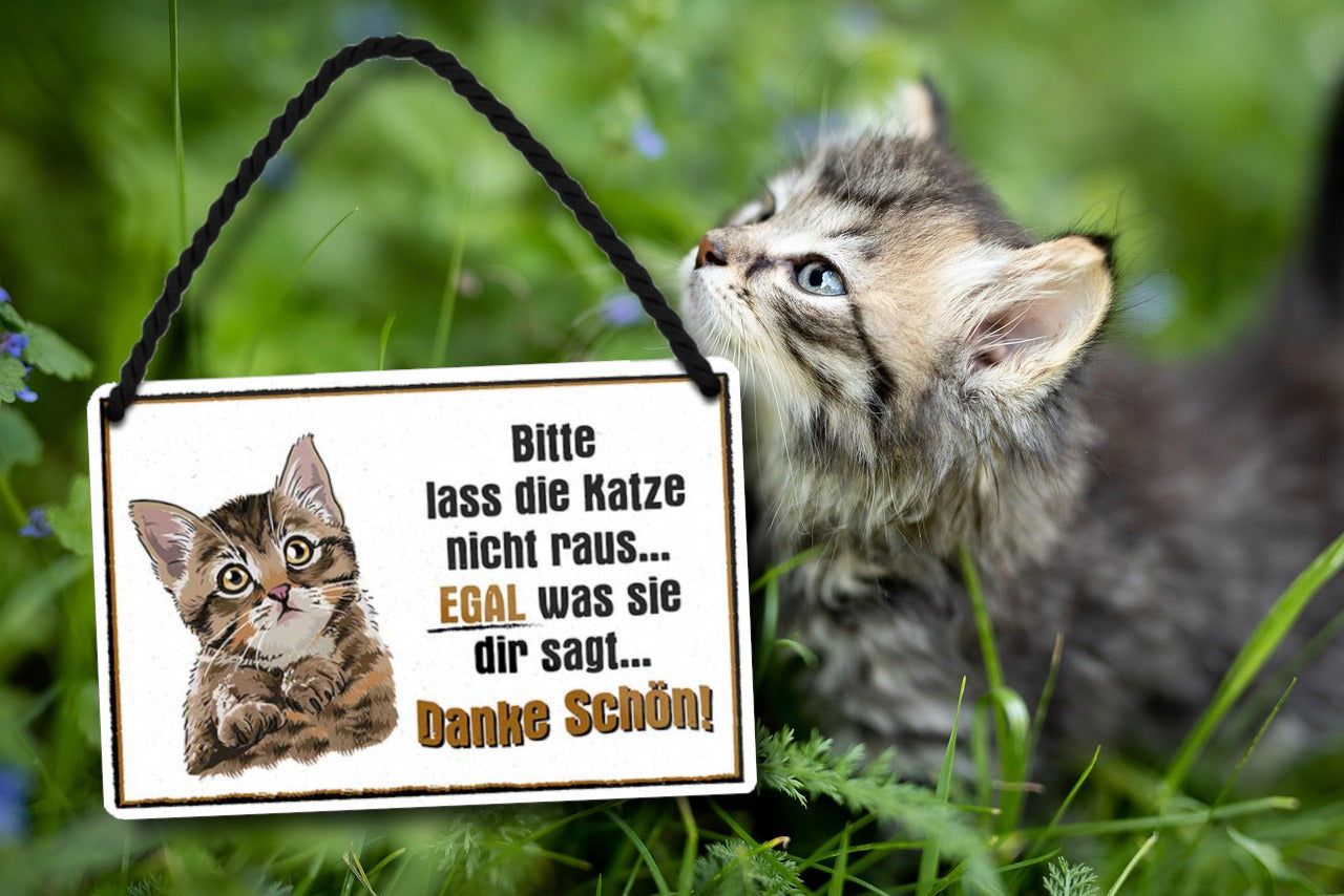 Katzen