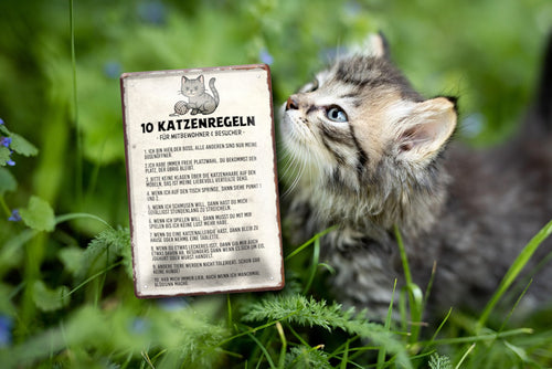 Blechschild ''10 Katzenregeln für Mitbewohner'' 20x30cm