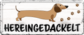 4252024244564	Schilderstore24 	 ''Hereingedackelt'' Schilderstore24 Blechschilder sind perfekt als Geschenk zu Weihnachten, Geburtstage, Feiern, Partys, Grillabende, Namenstag, Feiertag, Mädelsabend, Hochzeit Wohnzimmer, Partykeller, Garage, Praxis, Büro, Café, Hauseingang Haustier Tier Freund knuddelig Zuhause Katze Hund Hamster Meerschwein haustiere