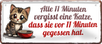 4252024253634		 ''Alle 11 min vergisst eine Katze, dass sie gegessen hat''
Schilderstore24 Blechschilder sind perfekt als Geschenk zu Weihnachten, Geburtstage, Feiern, Partys, Grillabende, Namenstag, Feiertag, Mädelsabend, Hochzeit Wohnzimmer, Partykeller, Garage, Praxis, Büro, Café, Hauseingang Haustier Tier Freund knuddelig Zuhause Katze Hund Hamster Meerschwein haustiere