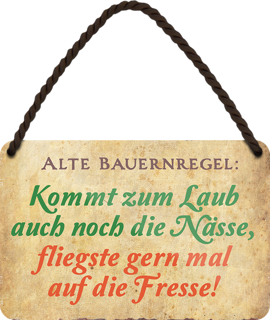 4252024242706	Schilderstore24 	 ''Alte Bauernregel zum Laub die Nässe fliegst auf Fresse'' Schilderstore24 Blechschilder sind perfekt als Geschenk zu Weihnachten, Geburtstage, Feiern, Partys, Grillabende, Namenstag, Feiertag, Mädelsabend, Hochzeit. Jederzeit stilvoll im Wohnzimmer, Partykeller, Garage, Praxis, Büro, Café, Hauseingang Sarkasmus Ironie Funny Schwarzer Humor faul dumm fun rente lästern teufel