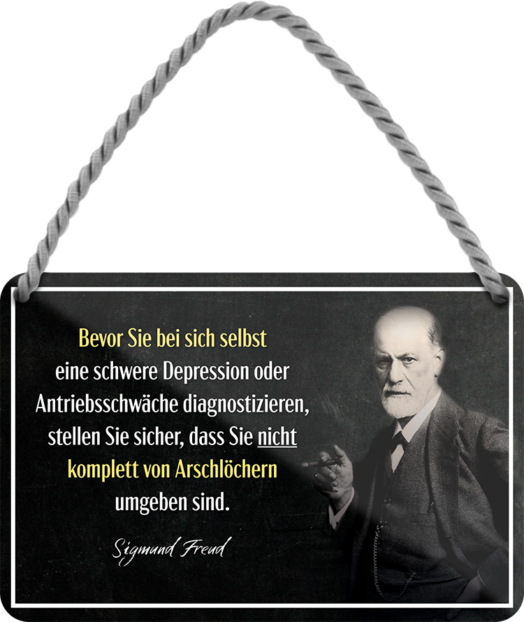 4252024248463		 ''Bevor sie bei sich selbst Depression diagnostizieren'' Schilderstore24 Blechschilder sind perfekt als Geschenk zu Weihnachten, Geburtstage, Feiern, Partys, Grillabende, Namenstag, Feiertag, Mädelsabend, Hochzeit. Jederzeit stilvoll im Wohnzimmer, Partykeller, Garage, Praxis, Büro, Café, Hauseingang Weisheiten Leben Sprichwörter Tipp wahrheit sprichwort tiefsinnig ratschlag