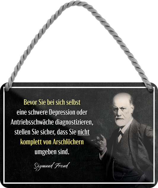 4252024248463		 ''Bevor sie bei sich selbst Depression diagnostizieren'' Schilderstore24 Blechschilder sind perfekt als Geschenk zu Weihnachten, Geburtstage, Feiern, Partys, Grillabende, Namenstag, Feiertag, Mädelsabend, Hochzeit. Jederzeit stilvoll im Wohnzimmer, Partykeller, Garage, Praxis, Büro, Café, Hauseingang Weisheiten Leben Sprichwörter Tipp wahrheit sprichwort tiefsinnig ratschlag