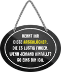 4252024245042	Schilderstore24	 ''Arschlöcher die es lustig finden wenn hinfällt. ICH'' Schilderstore24 Blechschilder sind perfekt als Geschenk zu Weihnachten, Geburtstage, Feiern, Partys, Grillabende, Namenstag, Feiertag, Mädelsabend, Hochzeit. Jederzeit stilvoll im Wohnzimmer, Partykeller, Garage, Praxis, Büro, Café, Hauseingang Sarkasmus Ironie Funny Schwarzer Humor faul dumm fun rente lästern teufel