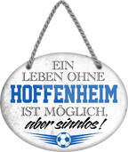 4252024247398	Schilderstore24	 ''Ein Leben ohne Hoffenheim ist sinnlos'' Schilderstore24 Blechschilder sind perfekt als Geschenk zu Weihnachten, Geburtstage, Feiern, Partys, Grillabende, Namenstag, Feiertag, Mädelsabend, Hochzeit. Jederzeit stilvoll im Wohnzimmer, Partykeller, Garage, Praxis, Büro, Café, Hauseingang Fußball Mannschaft Verein Bolzen Ball sport liga kicken stadion freizeit