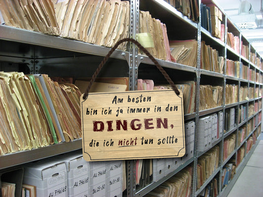 Blechschild ''Am besten bin ich ja in Dingen, die ich nicht tun sollte'' 18x12cm