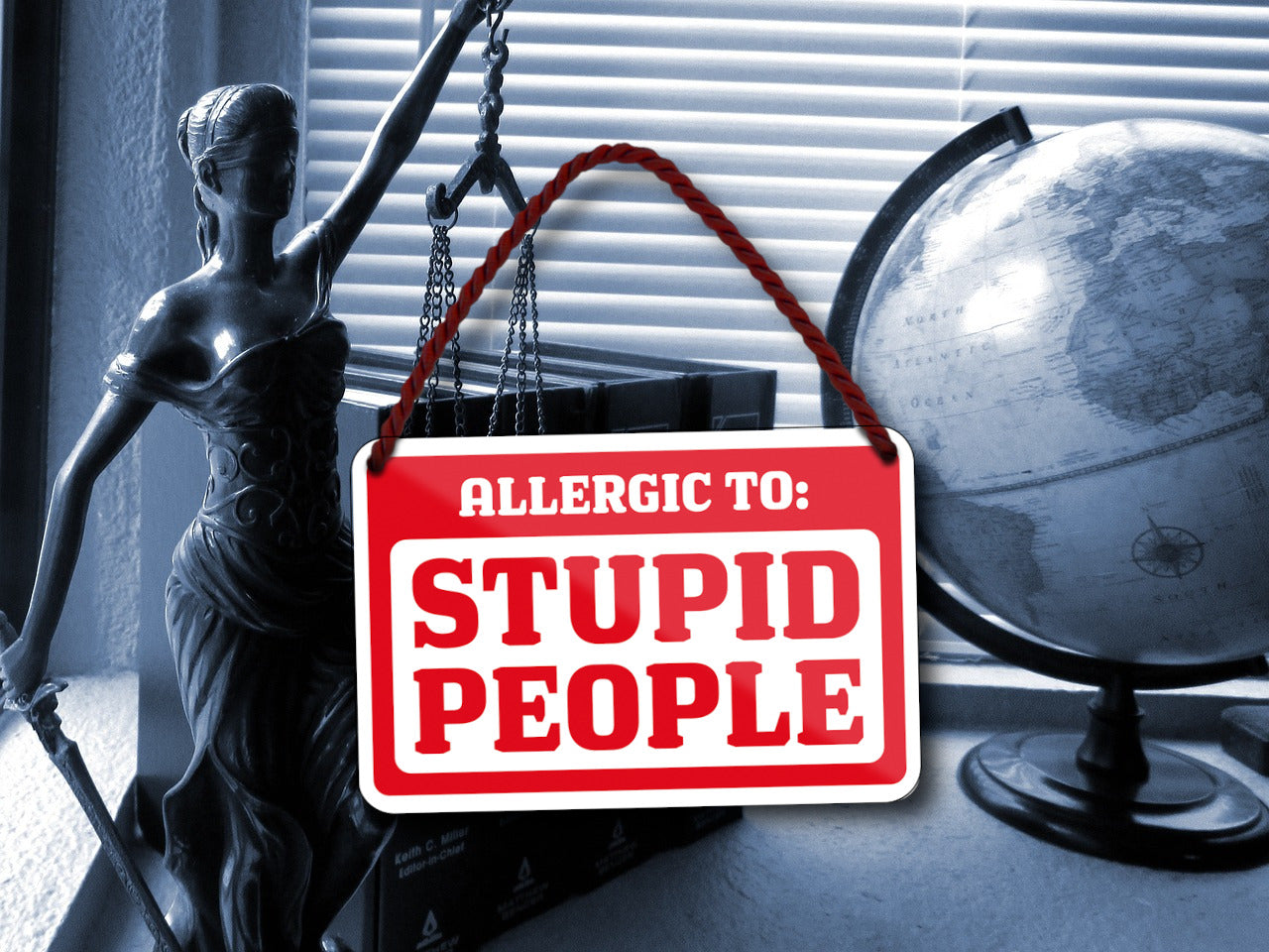 Blechschild ''Allergic to Stupid People'' 18x12cm