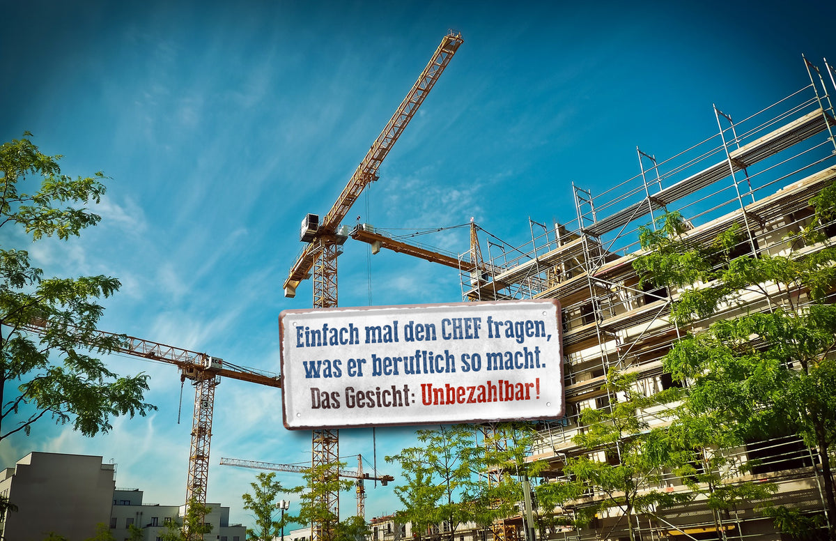 Blechschild ''Einfach mal den Chef fragen, was er beruflich macht'' 28x12cm