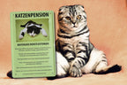 Blechschild ''Katzenpension Kostenlose Dienstleistungen'' 20x30cm