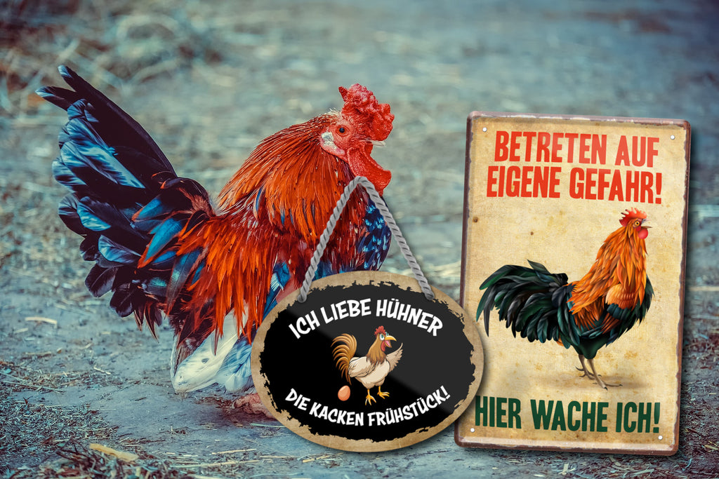 Blechschild ''Ich liebe Hühner, die kacken Frühstück'' 18x14cm