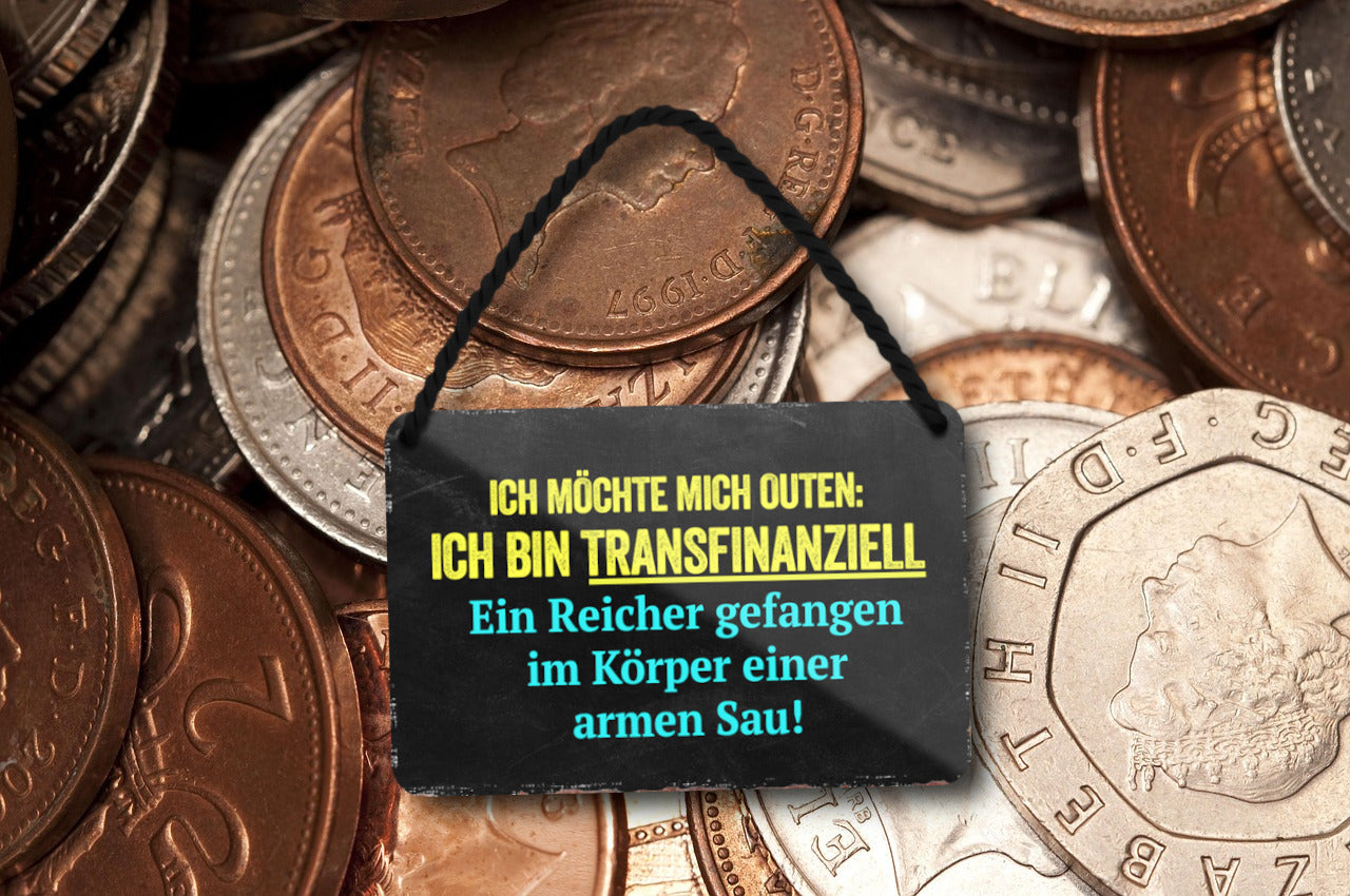 Blechschild ''Ich möchte mich outen, ich bin Transfinanziell'' 18x12cm