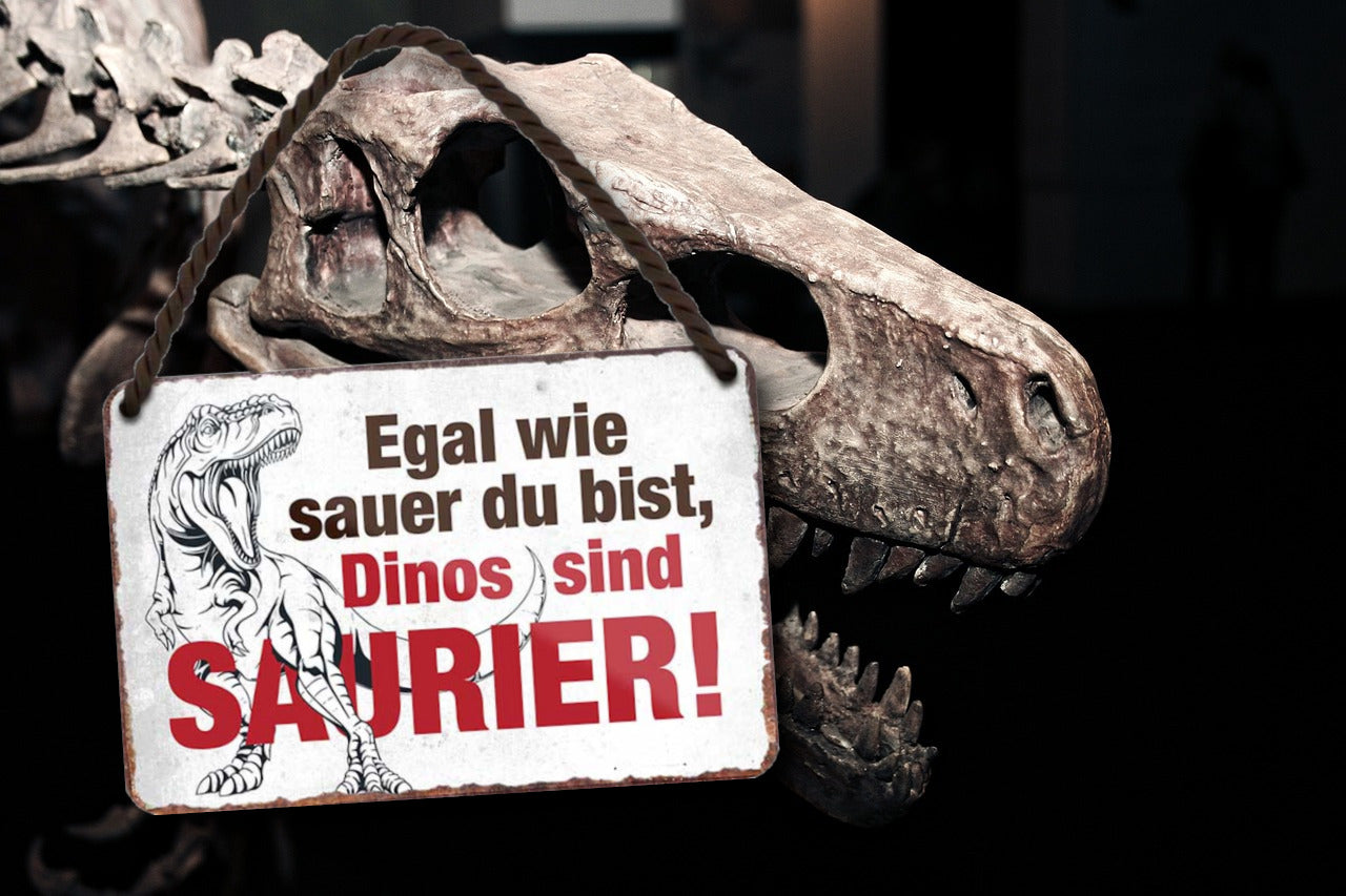 Tin sign "No matter how angry you are, dinosaurs are dinosaurs" 18x12cm