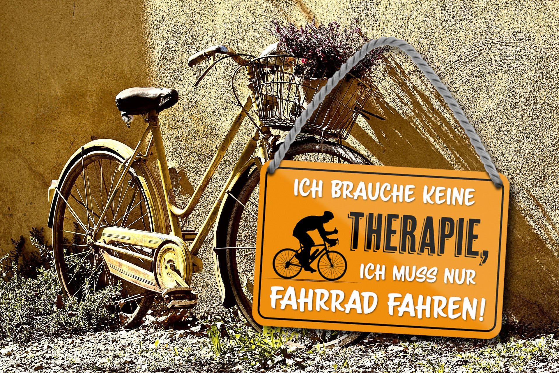Blechschild ''Ich brauche keine Therapie Fahrrad fahren'' 18x12cm – Schilderstore24