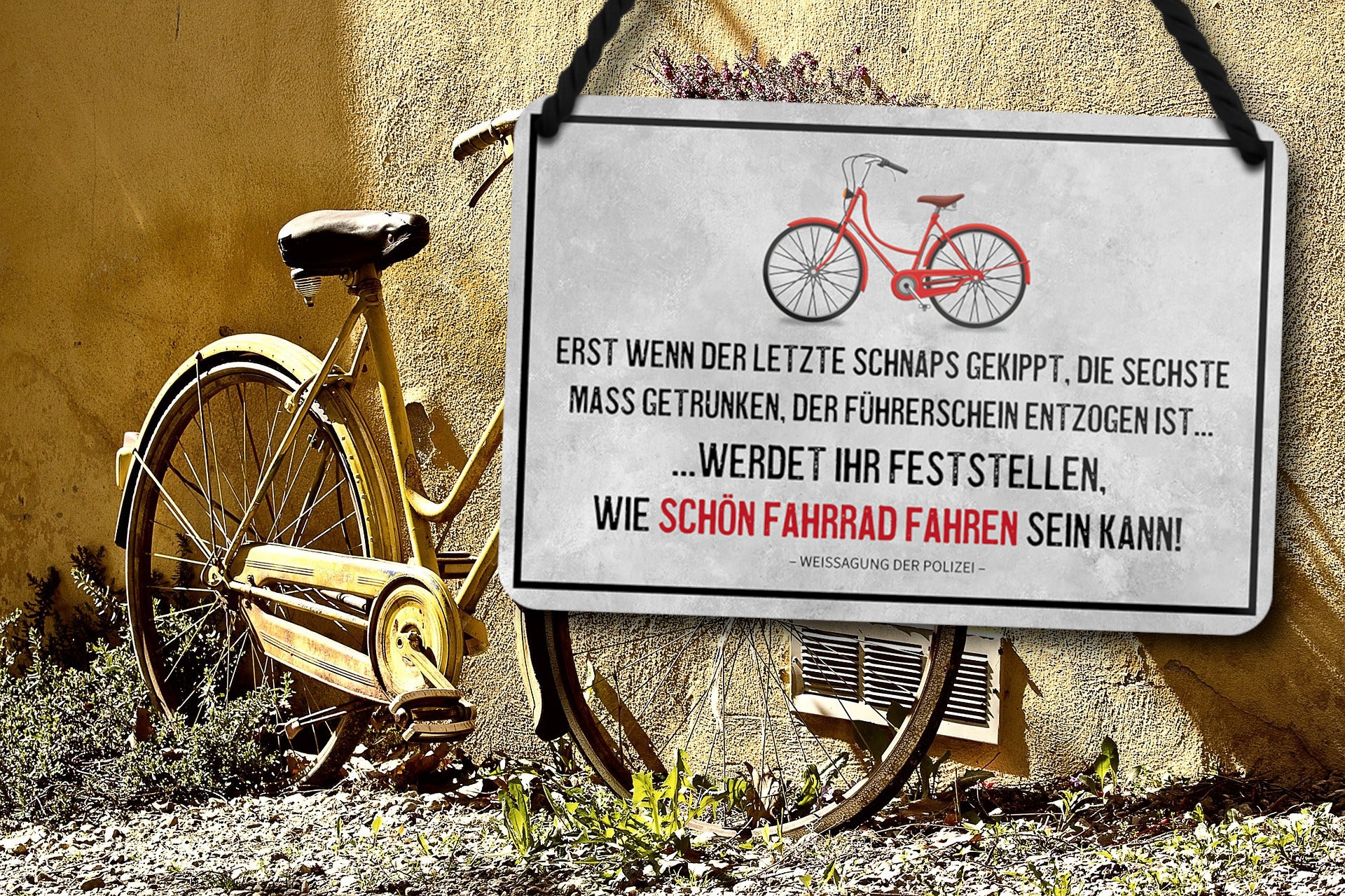 fahrrad fahren wenig fleisch und vor allem dosenbier saufen Blechschild ''Erst wenn der letzte Schnaps gekippt..Fahrrad fahren'' 1 – Schilderstore24