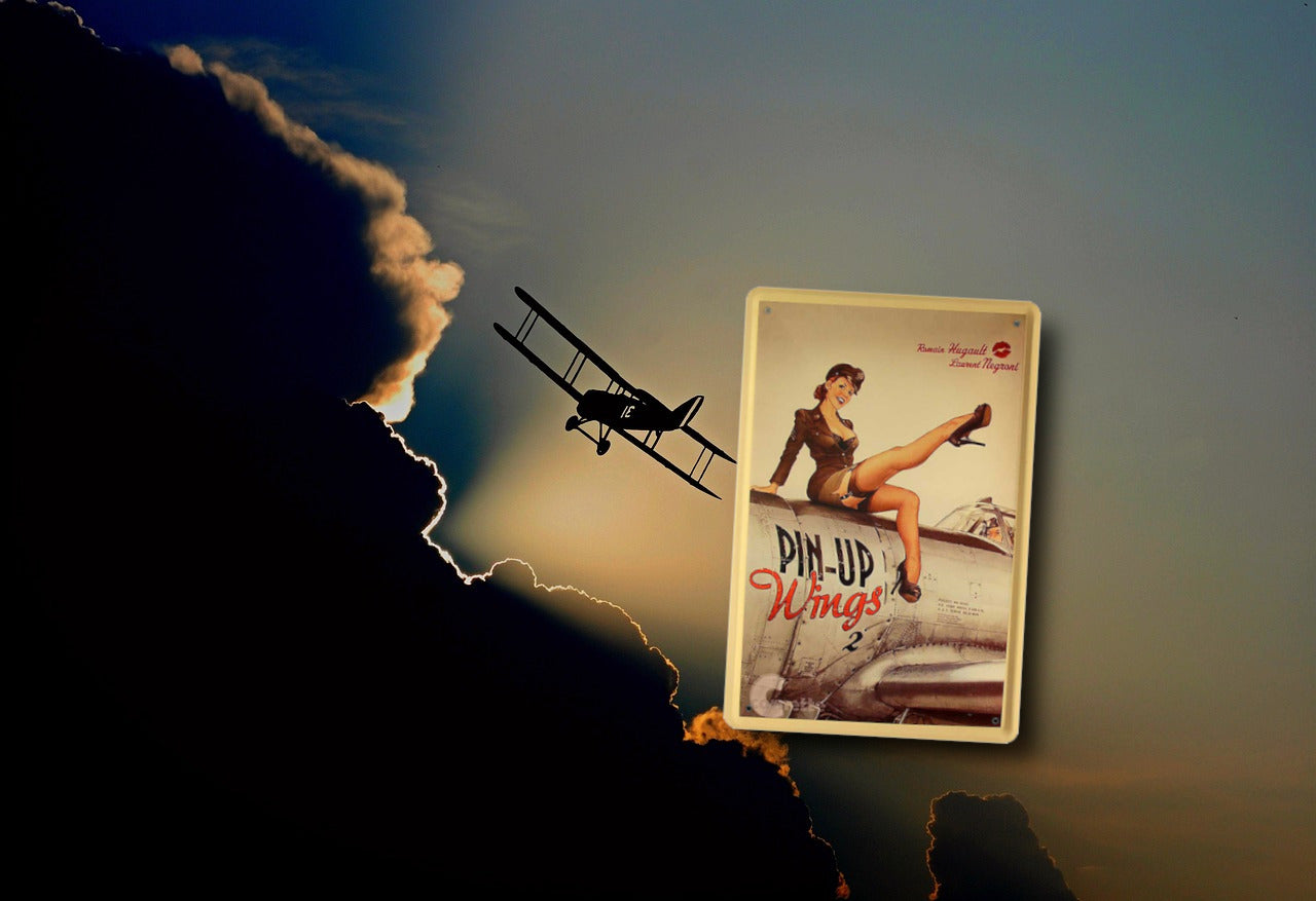 Blechschild ''Pinup Pin-Up Wings'' 20x30cm