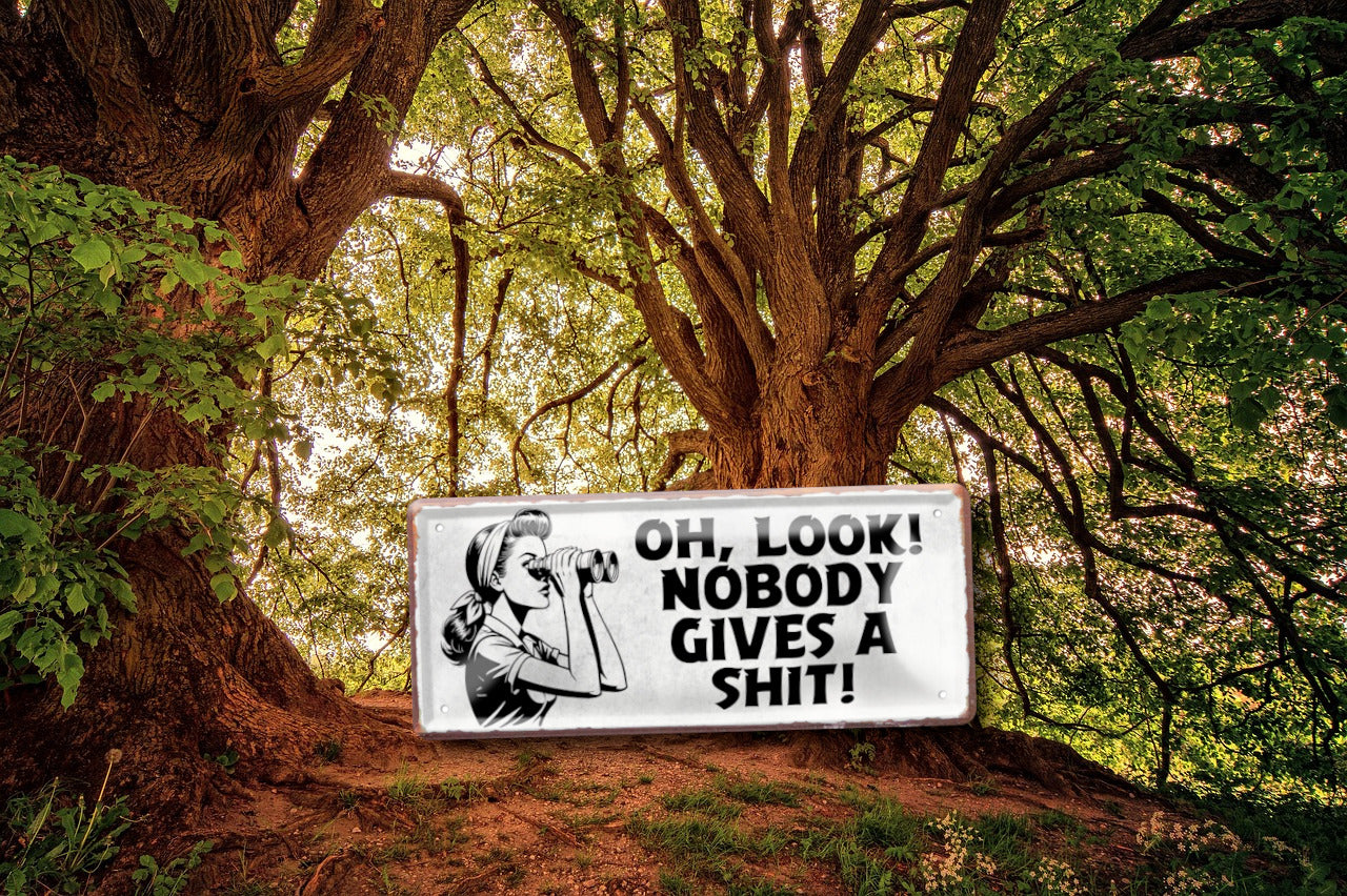 Blechschild ''Oh look, nobody gives a shit!'' 28x12cm