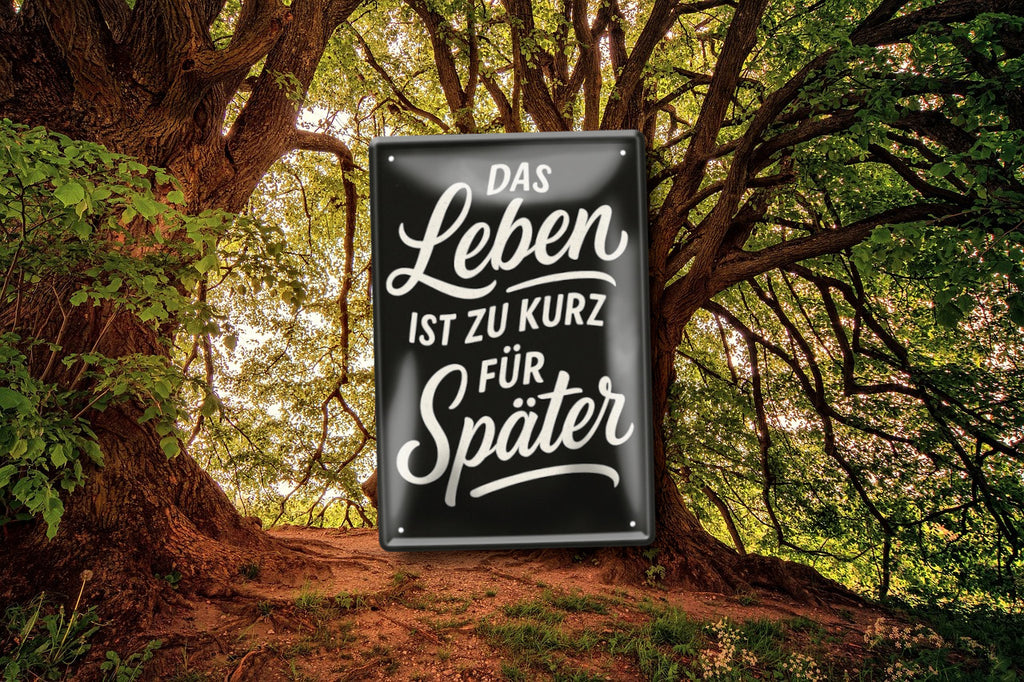 Blechschild ''Das Leben ist zu kurz für später'' 20x30cm