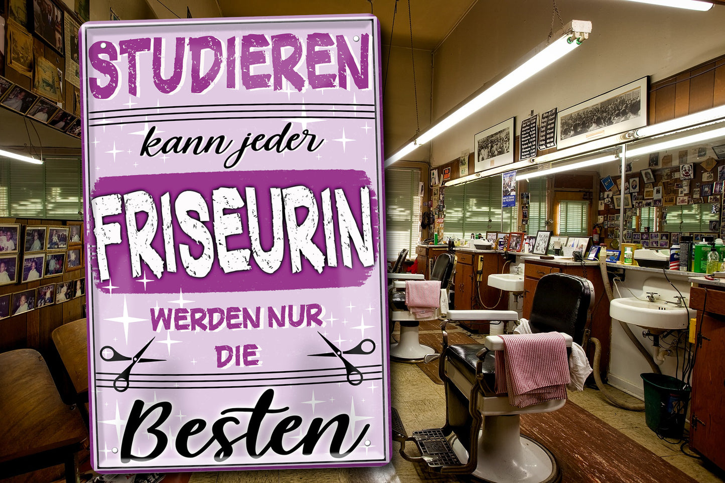 Blechschild ''Studieren kann jeder Friseurin'' 20x30cm