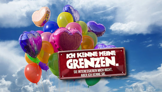 Blechschild ''Ich kenne meine Grenzen. Sie interessieren nicht'' 28x12cm