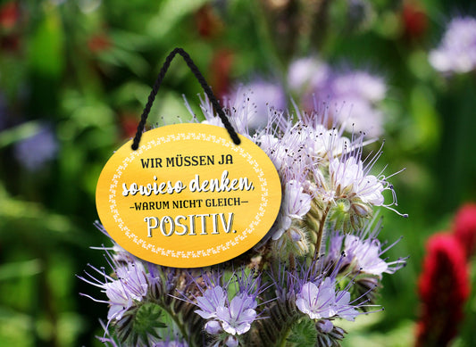 Blechschild ''Wir müssen ja sowieso denken, warum nicht gleich Positiv'' 18x14cm