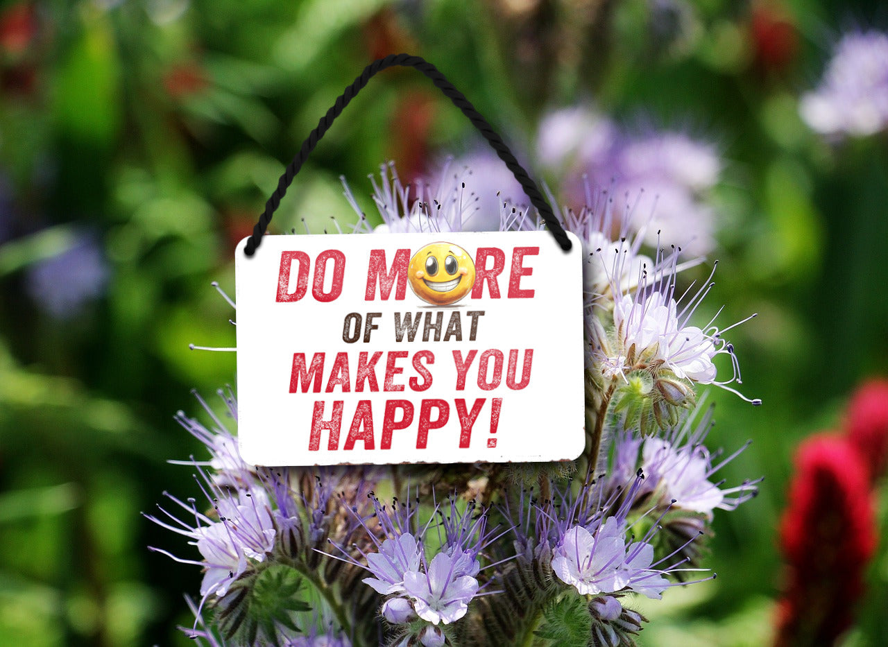 Blechschild ''Do more of what makes you happy'' 18x12cm