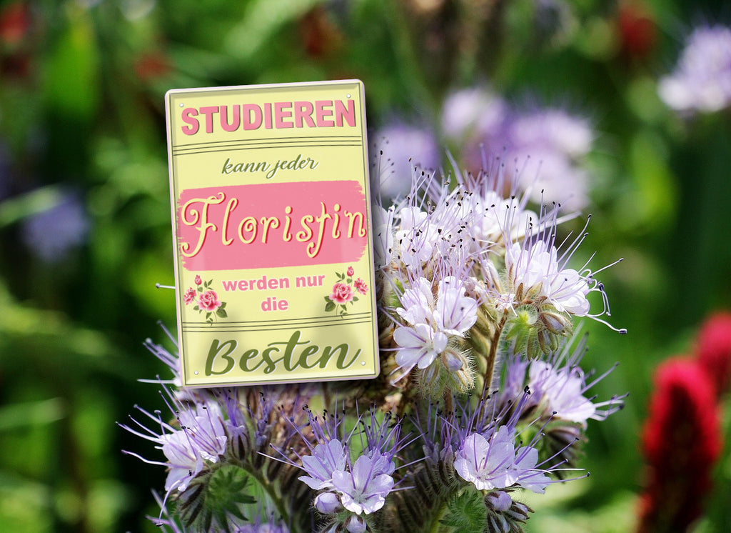 Blechschild ''Studieren kann jeder Floristin'' 20x30cm