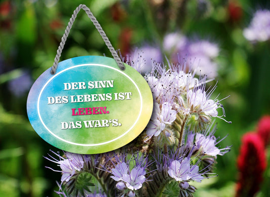 Blechschild ''Der Sinn des Lebens ist Leben (bunt)'' 18x14cm