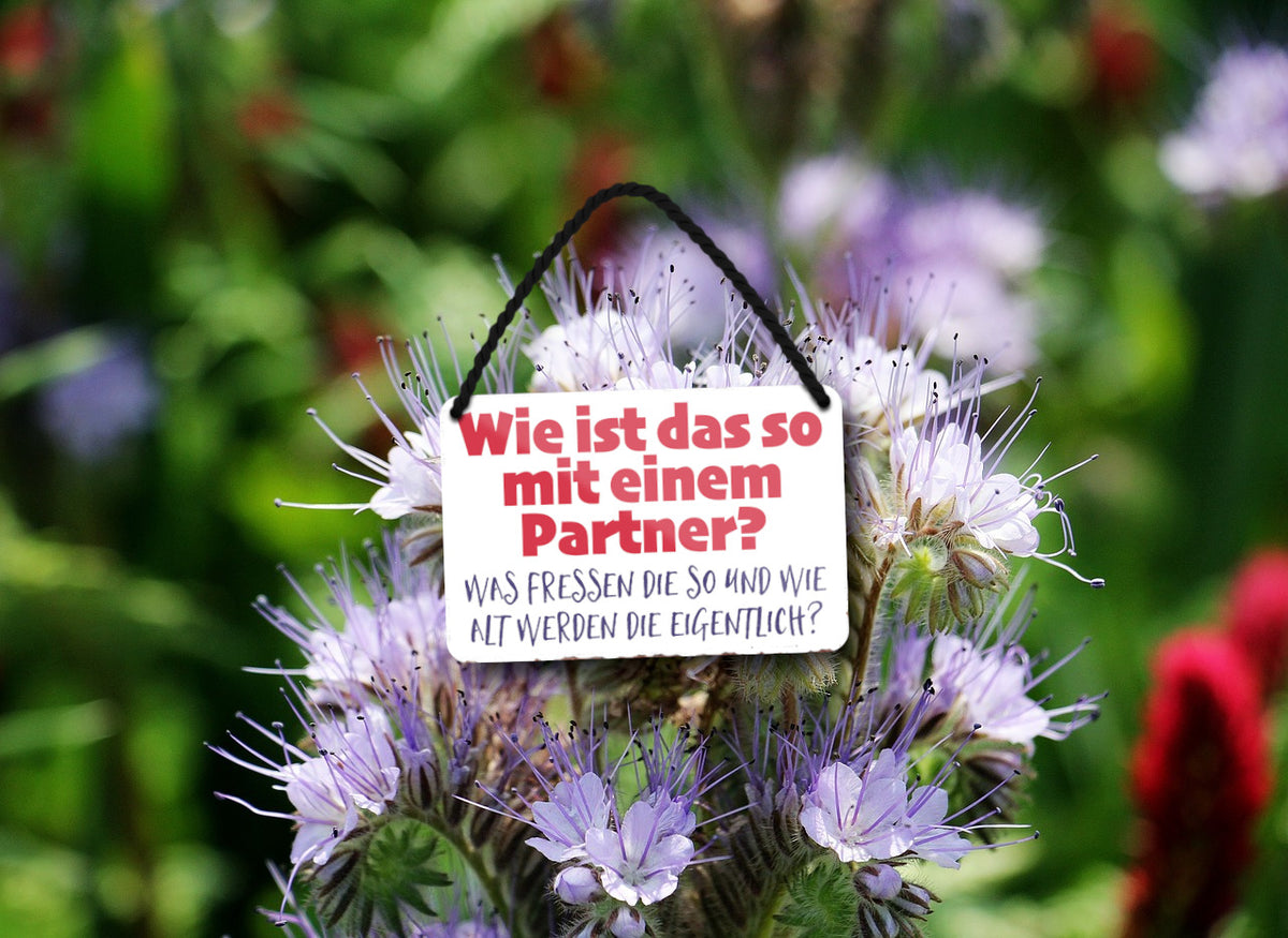 Blechschild ''Wie ist das so mit einem Partner'' 18x12cm