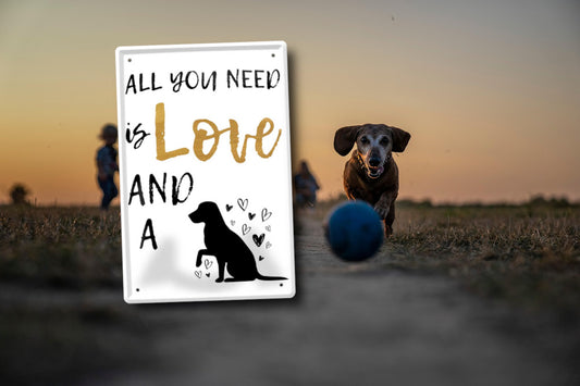 Blechschild ''All you need is love an an dog'' 20x30cm