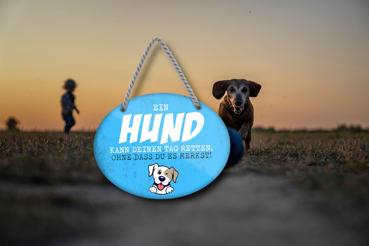 Blechschild ''Ein Hund kann deinen Tag retten'' 18x14cm