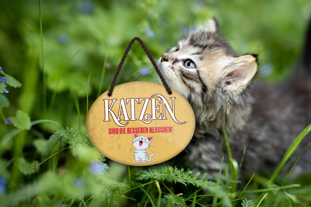 Blechschild ''Katzen sind die besseren Menschen'' 18x14cm