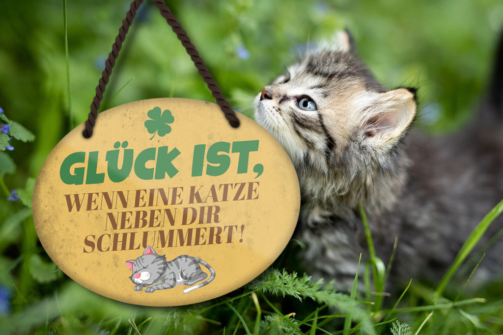 Blechschild ''Glück ist, wenn eine Katze neben dir schlummert'' 18x14cm