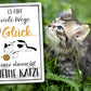 Blechschild ''Es gibt viele Wege zum Glück Katze'' 20x30cm