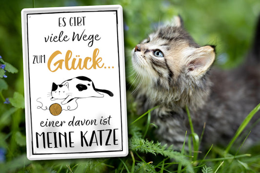 Blechschild ''Es gibt viele Wege zum Glück Katze'' 20x30cm