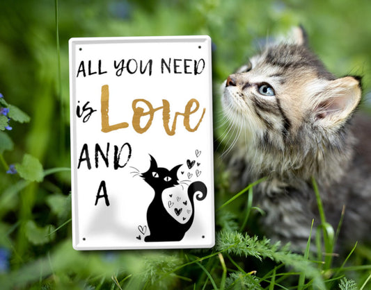 Blechschild ''All you need is love an an cat'' 20x30cm