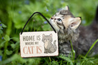 Blechschild ''Home is where my Cat is (katze)'' 18x12cm