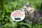 Blechschild ''Hier regiert meine Katze'' 18x14cm