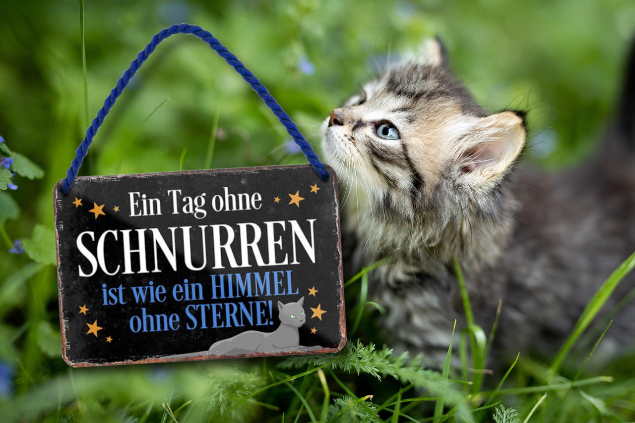 Tin sign "A day without purring is like a sky without stars" 18x12cm