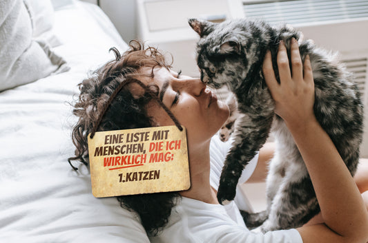 Blechschild ''Eine Liste mit Menschen die ich mag. 1. Katzen'' 18x12cm