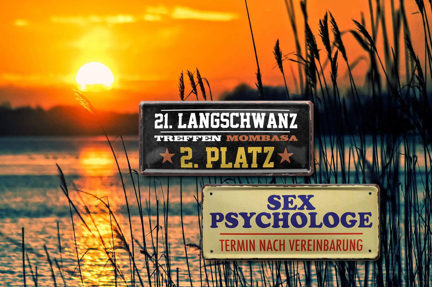 Blechschild ''Sex Psychologe'' 28x12cm