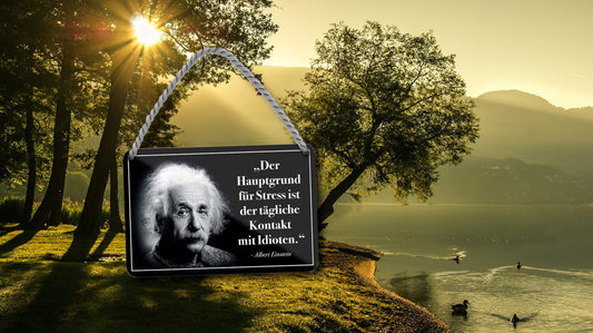 Blechschild ''Der Hauptgrund für Stress ist der.. (Einstein)'' 18x12cm