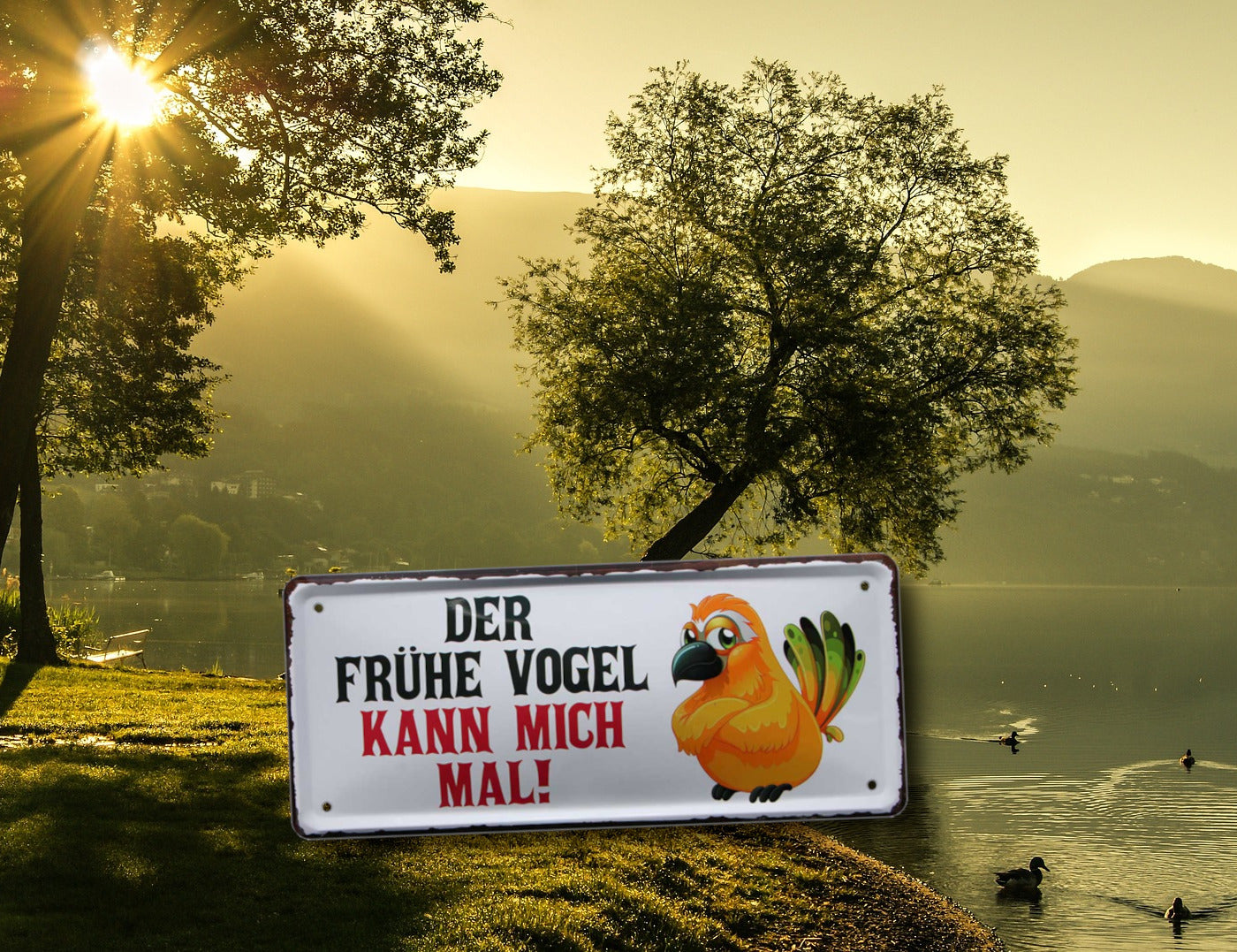 Blechschild ''Der frühe Vogel kann mich mal'' 28x12cm