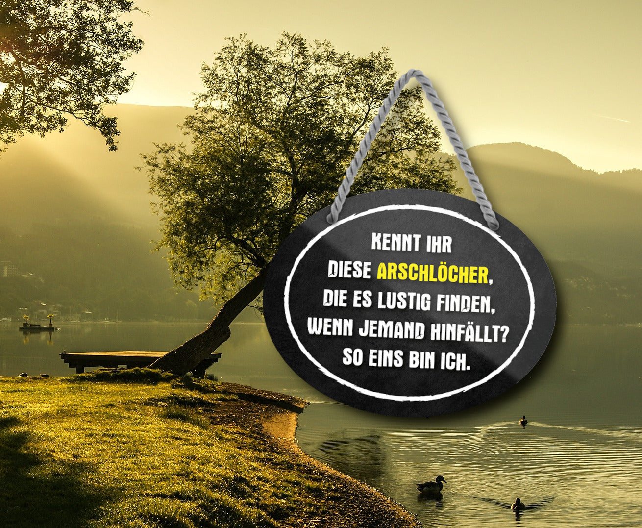 Blechschild ''Arschlöcher die es lustig finden wenn hinfällt. ICH'' 18x14cm