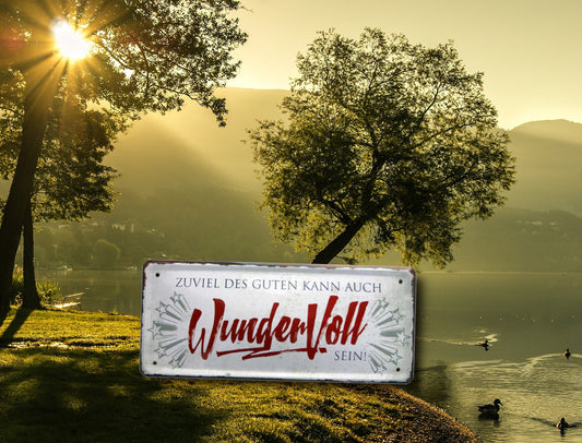 Blechschild ''Zuviel des Guten kann auch Wundervoll sein'' 28x12cm