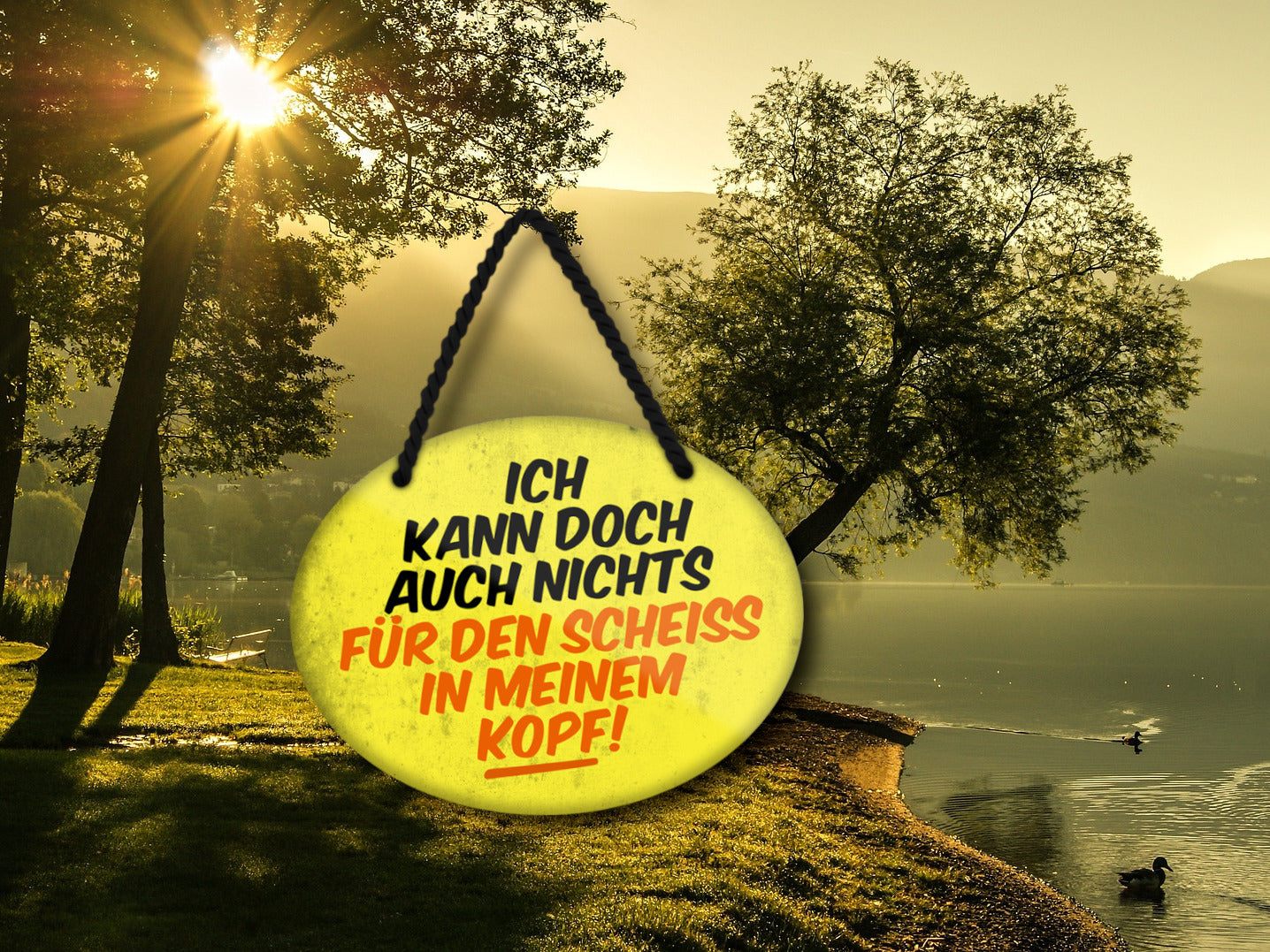 Blechschild ''Ich kann doch nichts für den Scheiss im Kopf'' 18x14cm