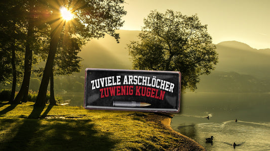 Blechschild ''Zuviele Arschlöcher zu wenige Kugeln'' 28x12cm