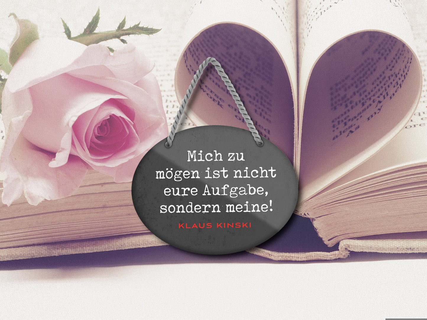 Blechschild ''Mich zu mögen ist nicht eure Aufgabe, sondern meine'' 18x14cm