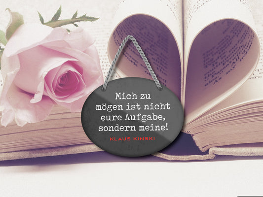 Blechschild ''Mich zu mögen ist nicht eure Aufgabe, sondern meine'' 18x14cm